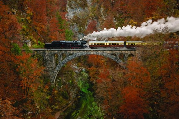 Train sur un pont dans une forêt d'automne