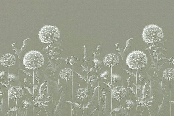 Pissenlits subtils dans la prairie