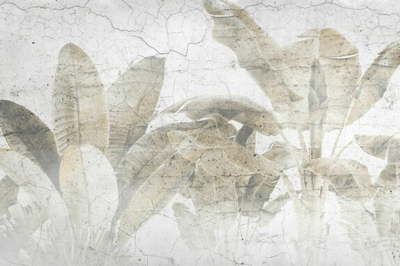 Feuilles de palmier sur un mur en béton