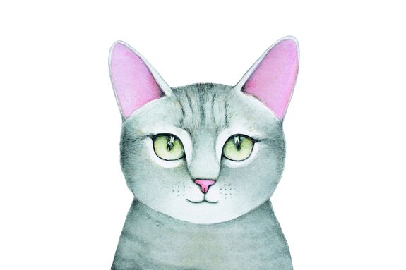 Dessin d'un chat gris sur fond blanc