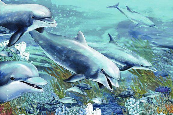Dauphins nageant parmi le récif corallien