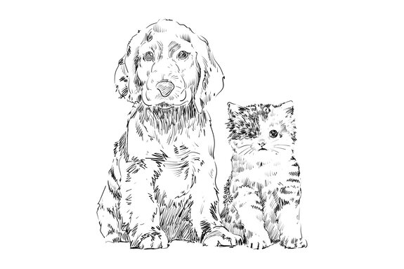 Dessin esquissé d’un chien et d’un chat