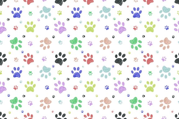 Pattes de chien colorées