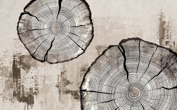 Cernes du tronc d'arbre sur texture beige