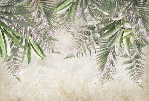 Feuilles tropicales de palmier et de fougère suspendues du haut sur fond en béton