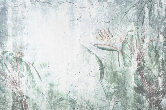 Strelitzia plantes tropicales sur fond en béton style loft