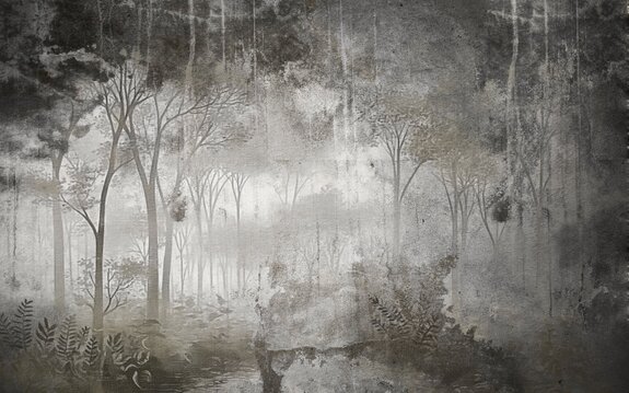 Paysage mystérieux d'une forêt dense