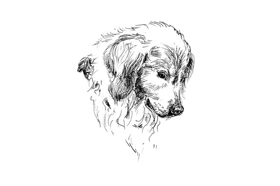 Portrait noir et blanc de chien style croquis
