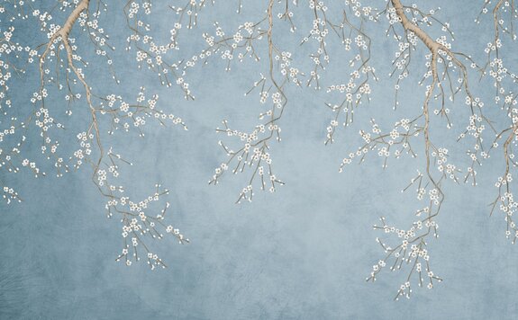 Délicates fleurs de cerisier sur fond bleu