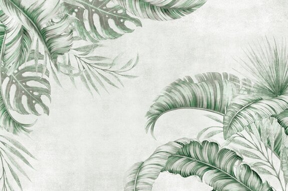 Feuilles vertes de palmier et de monstera