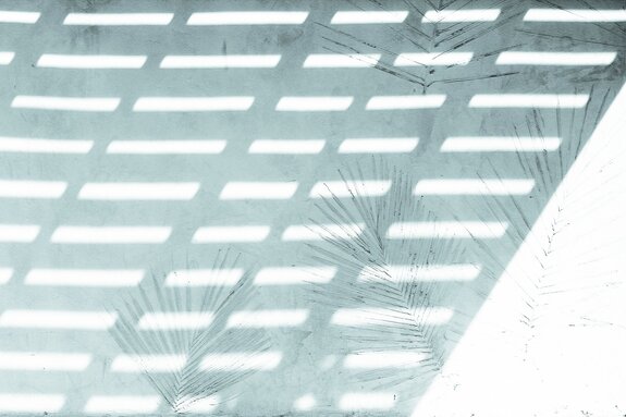 Reflet de palmiers sur fond blanc avec ombre