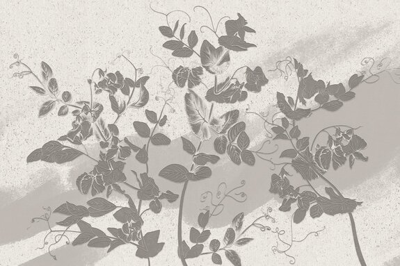 Feuilles grises sur un mur sablonneux