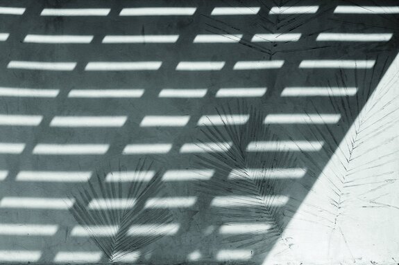 Délicat reflet de palmiers sur le mur avec ombre