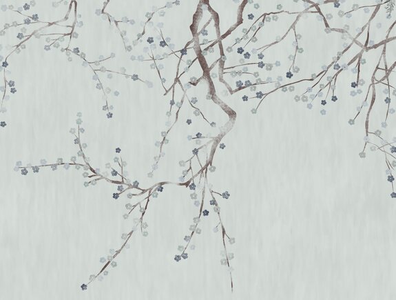 Branches délicates avec des fleurs de cerisier