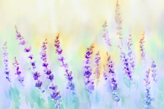 Prairie peinte en pastel avec des fleurs de lavande