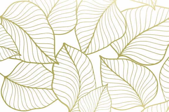 Croquis doré de feuilles sur fond blanc