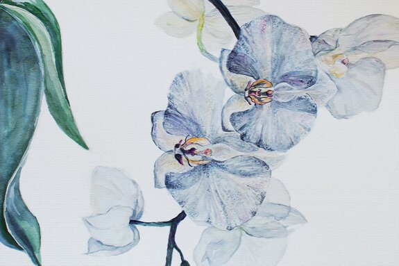 Orchidée bleue avec des feuilles