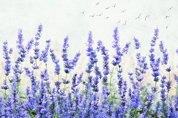 Fleurs de lavande sur fond d'oiseaux