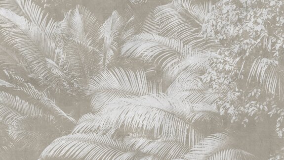 Reflet des feuilles de palmier sur béton beige