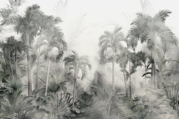 Jungle dans le brouillard paysage tropical