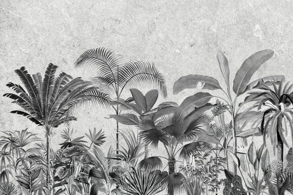 Paysage tropical en noir et blanc avec des palmiers