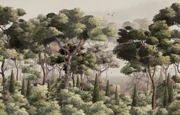 Paysage naturel avec arbres et brume légère