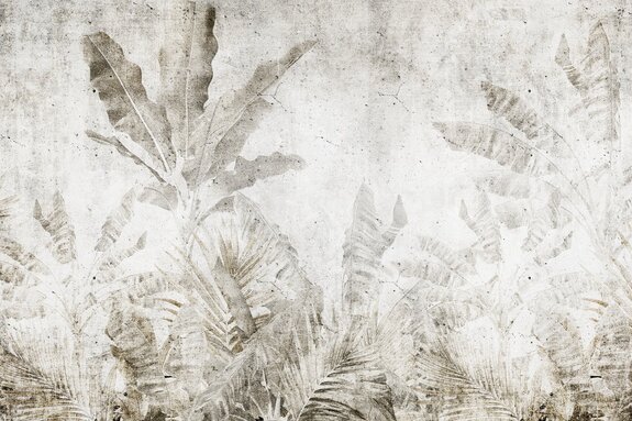 Feuilles de bananier sur un mur en béton dans un style urban jungle