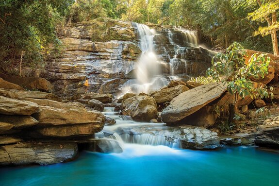Ruisseau avec cascade dans la forêt