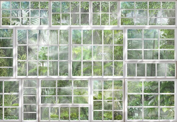 Vue 3d sur une jungle tropicale à travers une fenêtre