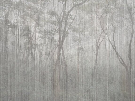 Paysage brumeux d'arbres dans le parc