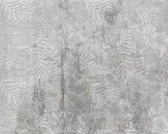 Feuilles tropicales sur fond en béton texturé