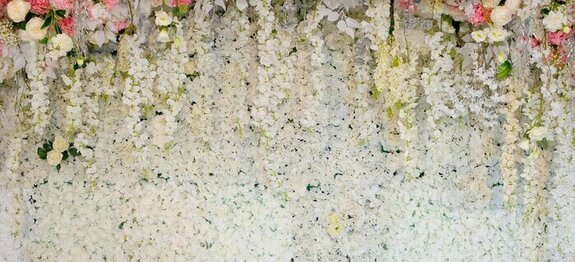 Mur orné de fleurs blanches