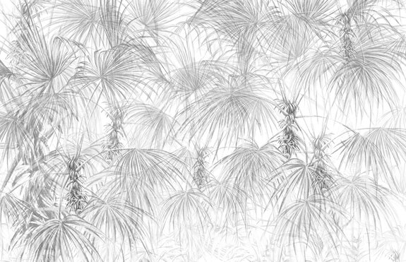 Arbres de palmiers avec des feuilles tropicales grises sur fond blanc