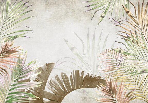 Grandes feuilles tropicales sur un fond en béton