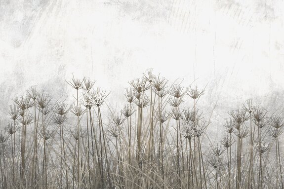Fleurs sauvages et plantes dans un style loft industriel