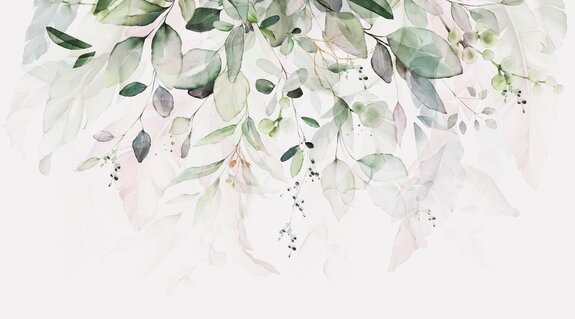 Branches et feuilles en aquarelle sur fond blanc