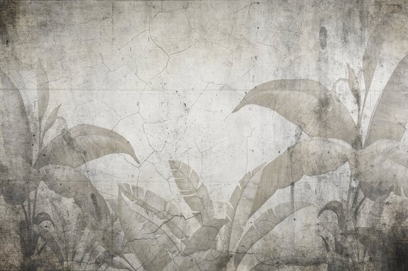 Feuilles de plantes tropicales sur fond en béton