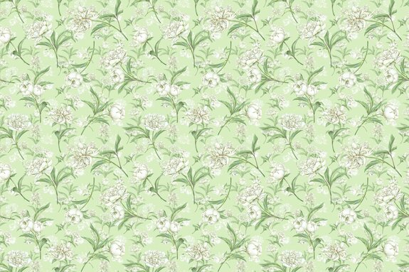 Pivoines blanches délicates dans le vert