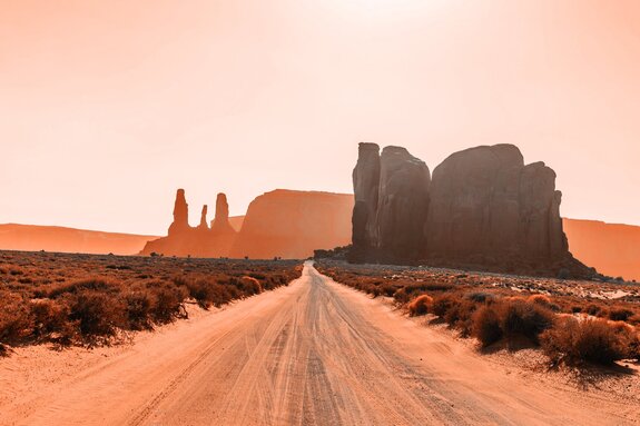 Oute sablonneuse dans le désert parmi les rochers
