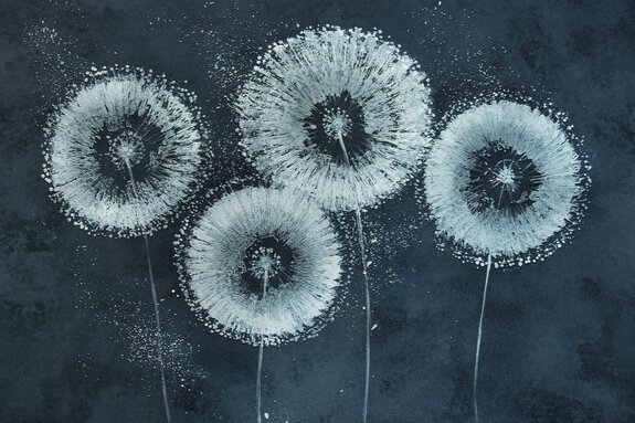 Pissenlits blancs peints sur le mur