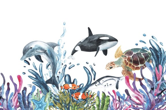 Dauphin et tortue de mer parmi le récif sur fond blanc