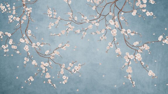 Fleurs de cerisier blanches sur les branches