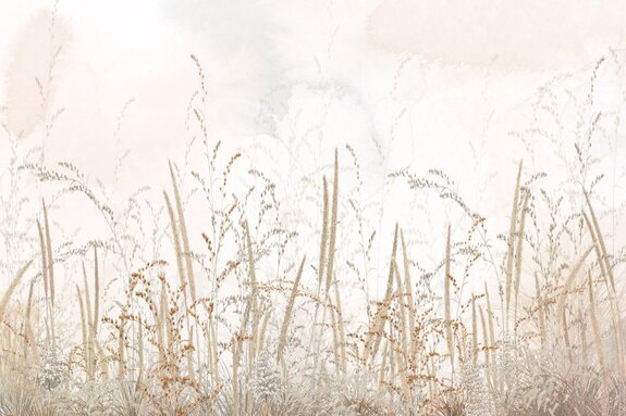 Prairie sauvage avec des herbes sur fond beige