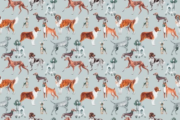 Différentes races de chiens illustration style aquarelle