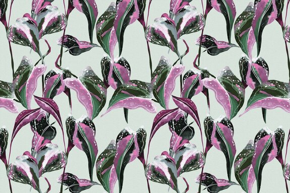 Feuilles tropicales colorées avec du rose