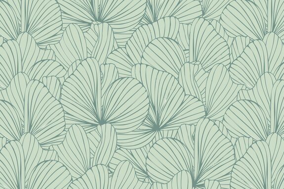 Réseaux de feuilles en nuances de gris