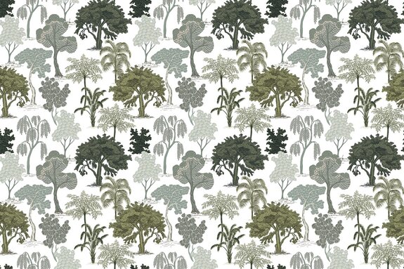 Arbres sauvages dans la jungle tropicale