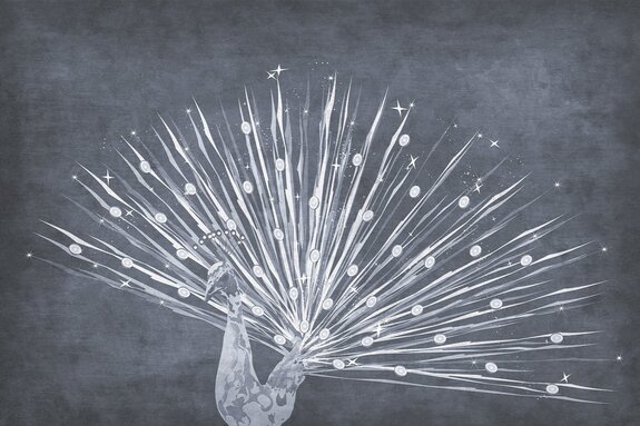 Dessin abstrait d’un paon