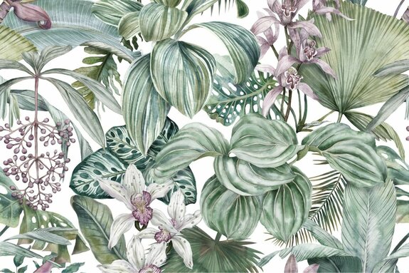 Orchidées parmi la végétation luxuriante