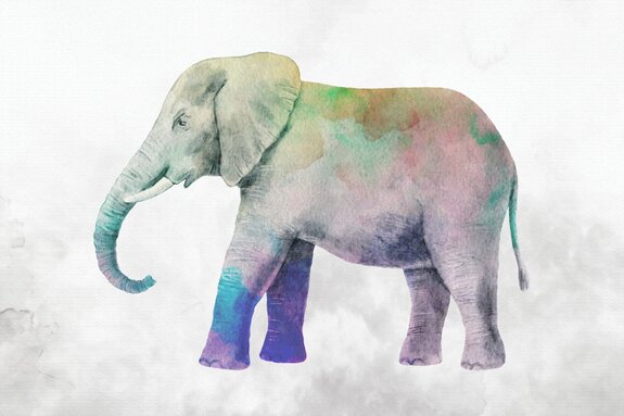 Éléphant coloré en aquarelle